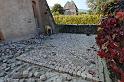 Ammerschwhir 2007-10-11 - 02