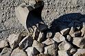 Hesingue 2008-02-08  - 055