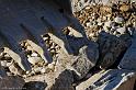Hesingue 2008-02-08  - 085