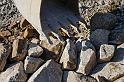Hesingue 2008-02-08  - 090