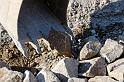 Hesingue 2008-02-08  - 096