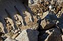 Hesingue 2008-02-08  - 098