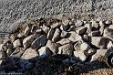 Hesingue 2008-02-08  - 102
