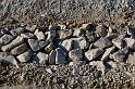 Hesingue 2008-02-08  - 109