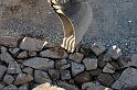 Hesingue 2008-02-08  - 119